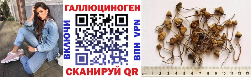 Псилоцибиновые грибы ЛСД  гидра вход  Островной 